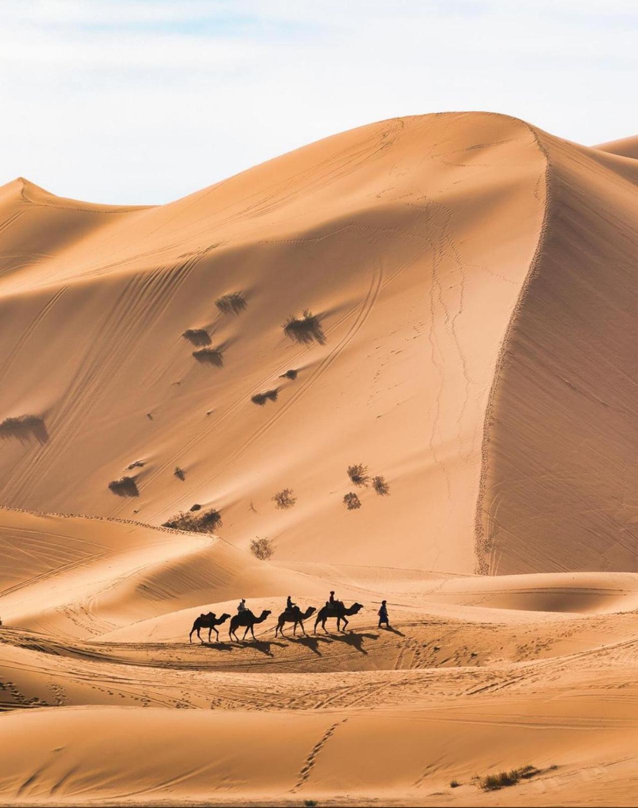 Sahara camel trek camp Hotel Merzouga Bagian luar foto